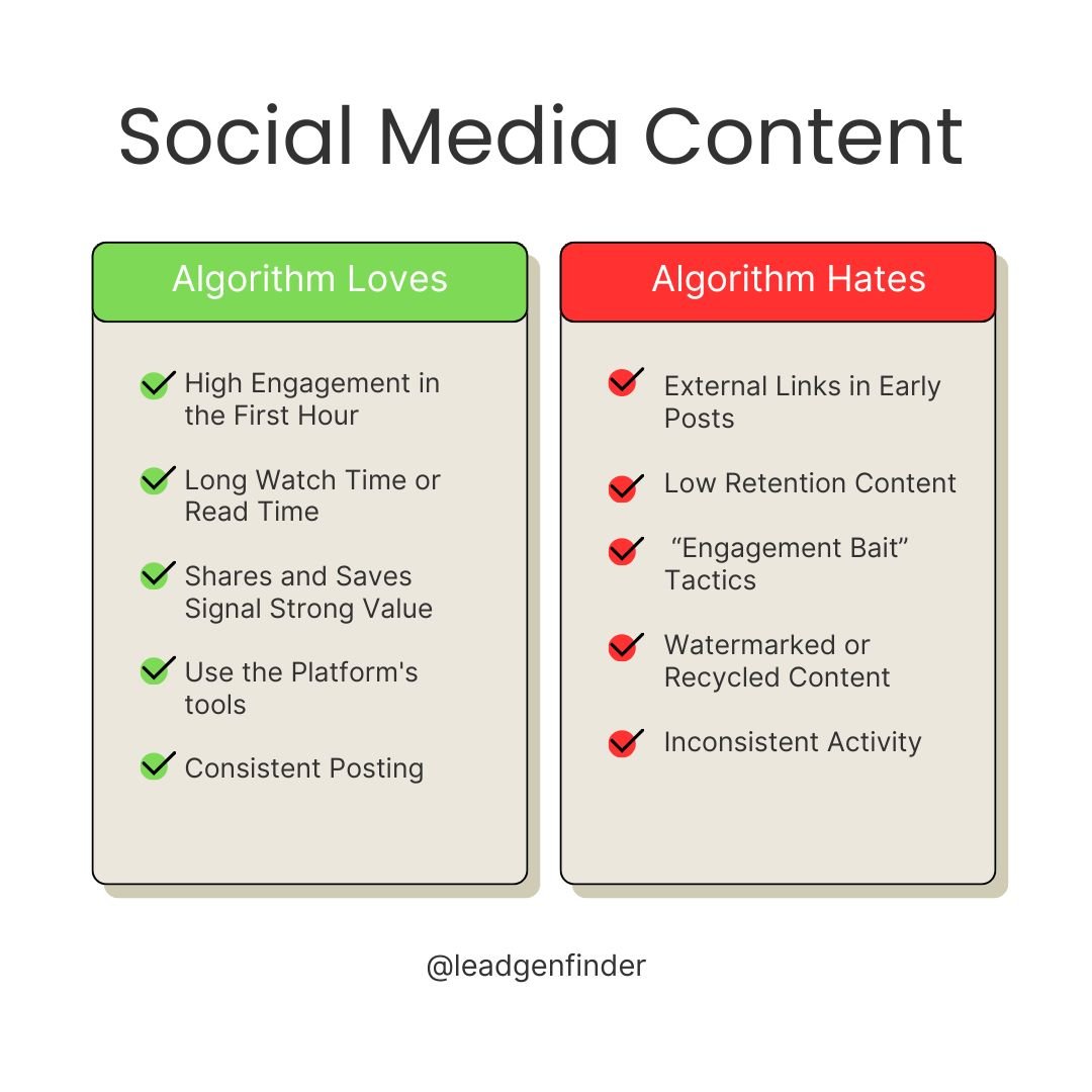 what content the algorithm loves (and what it hides)